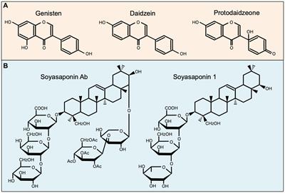 Fine-tuning of mononuclear phagocytes for improved inflammatory responses: role of soybean-derived immunomodulatory compounds